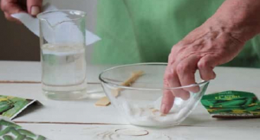 Jak namočit a zpracovat semena okurek v peroxidu vodíku před výsadbou?